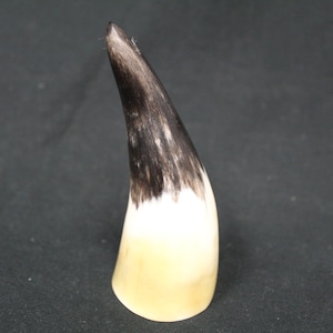 Vintage Southwestern Polished Cow Horn Decor (V6798)