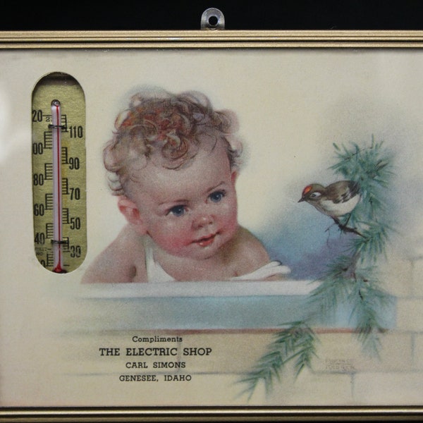 Vintage The Electric Shop Idaho Advertising Thermometer with Baby & Bird (V1222)