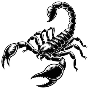 Può includere: Illustrazione in bianco e nero dettagliata di uno scorpione. Lo scorpione è raffigurato in una posa dinamica, con la coda curva sulla schiena e le grandi chele estese. L'immagine è un design grafico.
