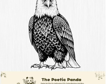 Eagle Vector design, Eagle Svg, Eagle Png, Eagle Art, Eagle Clipart, Eagle Cut Files, Flying Eagle, American Eagle, Eagle Silhouette