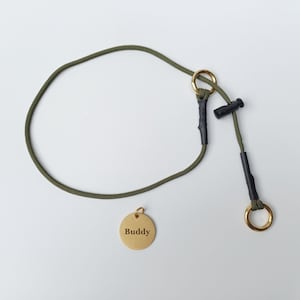May include: Olive green slip lead dog collar with gold-coloured metal rings and a black plastic stopper. A small, round, gold-coloured dog tag with the name "Buddy" is also included.