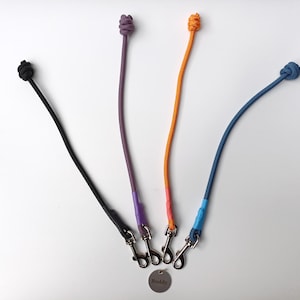 May include: Four dog leads in black, purple, orange, and blue, each with a knotted end and a metal clasp. A small tag with the word "Buddy" is attached. The leads are on a white background.