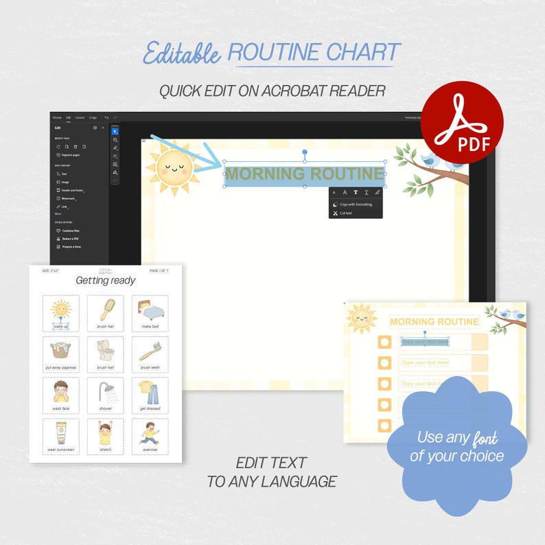 Editable Daycare Morning Routine Visual Cards for Multilingual Daily ...