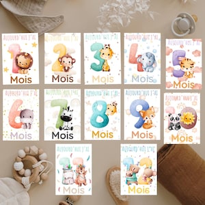 Può includere: Set di 12 biglietti per tappe fondamentali per bambini con illustrazioni ad acquerello di animali e numeri da 1 a 12. Ogni biglietto riporta la parola "Mois" e la frase "AUJOURD'HUI J'AI". I biglietti sono pensati per le foto dei bambini.