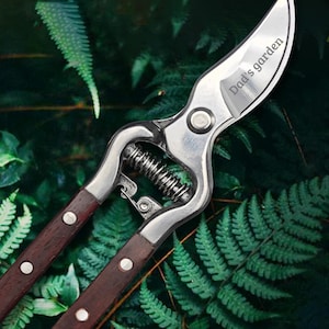 May include: A pair of garden shears with a stainless steel blade and a dark wood handle. The shears have the text "Dad's garden" engraved on the blade. The background is a lush green foliage.