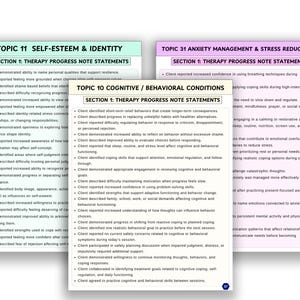 K&ouml;nnte beinhalten: Drei Seiten mit Therapienotizen mit den &Uuml;berschriften: Selbstwertgef&uuml;hl & Identit&auml;t, Kognitive/Verhaltens-Bedingungen und Angstbew&auml;ltigung & Stressreduktion. Jede Seite listet Aussagen zum Therapiefortschritt auf.