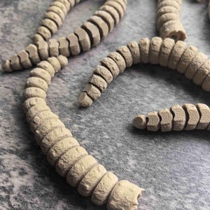 Pode incluir: Vários objetos bege, segmentados, semelhantes a vermes, estão dispostos sobre uma superfície cinza. Os objetos têm uma aparência texturizada e orgânica, com cada segmento ligeiramente arredondado. A composição geral sugere um tema natural, possivelmente decorativo.