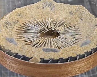 Dune Sandworm Hourglass Light Sand Unique Lamp Decor, 3D Printed Toy Sci-Fi Fan Art for Desk Shelf Decoration Valentine's Day Gift for Him