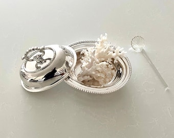 VINTAGE / Sopera con tapa de plata / Servidor de condimentos con cuentas / Plato pequeño con tapa / Plata estilo georgiano