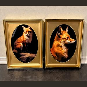 May include: Two framed oval art prints featuring detailed portraits of foxes. The foxes have vibrant orange and white fur against a black background. The frames are gold-colored with a rectangular shape.
