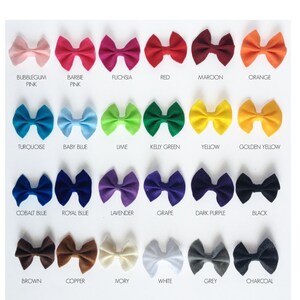 Puede incluir: Una tabla de 24 lazos para el pelo de fieltro en varios colores, incluyendo rosa chicle, turquesa, azul cobalto, marr&oacute;n y carb&oacute;n. Cada lazo est&aacute; etiquetado con el nombre de su color.