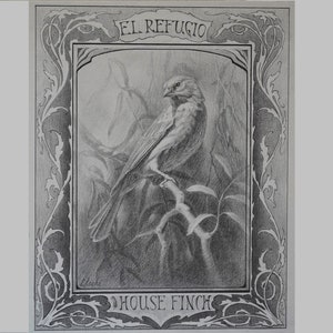 Limited Edition Print of a Bird Drawing in the Style of Art Nouveau
