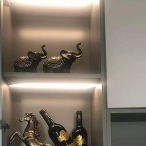 May include: A display cabinet with decorative items. Two dark gray elephant figurines with ornate detailing sit on a shelf. Below, a gold horse statue and two black wine bottles with gold labels are visible.