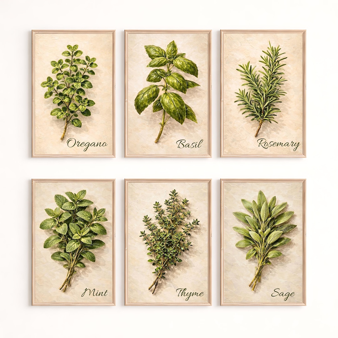 Herb Kitchen Wall Art Set of 6, Rosemary Basil Oregano Mint Sage Thyme ...