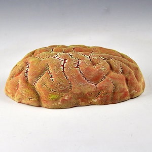 Ceramic Brain Wall Sculpture with yellow, red, light green lichen glazes oct15-3 image 5