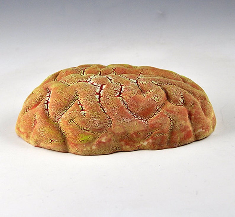 Ceramic Brain Wall Sculpture with yellow, red, light green lichen glazes oct15-3 image 5