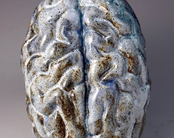 Ceramic Brain Sculpture Soda Fired White Oct21-17B