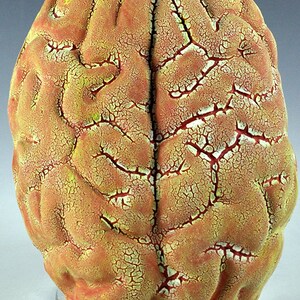 Ceramic Brain Wall Sculpture with yellow, red, light green lichen glazes oct15-3 image 2