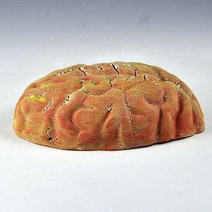 Ceramic Brain Wall Sculpture with yellow, red, light green lichen glazes oct15-3 image 4