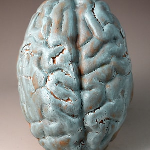 May include: A ceramic sculpture of a human brain, painted in a light blue color with brown accents. The sculpture is detailed with realistic folds and grooves.