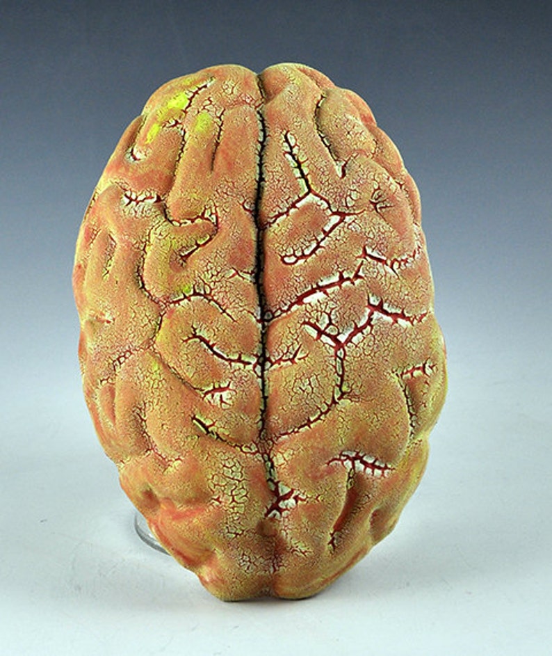 Ceramic Brain Wall Sculpture with yellow, red, light green lichen glazes oct15-3 image 1