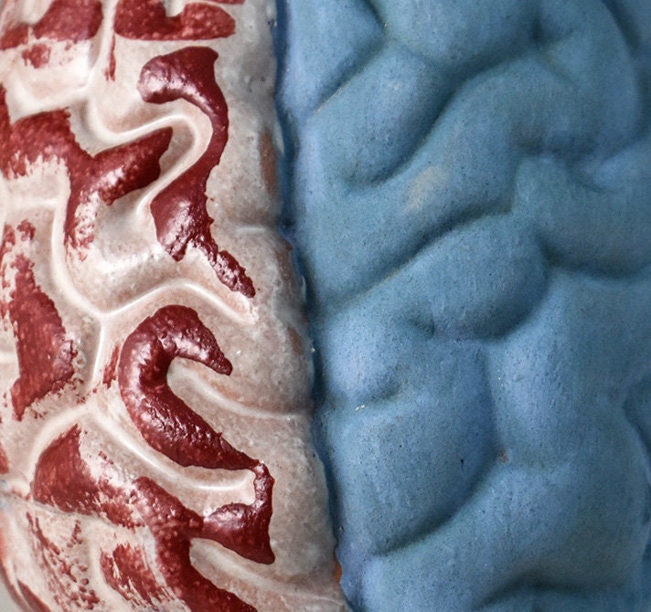 Ceramic Brain Sculpture Cone 04 Vitreous Slip Red Blue Terracotta