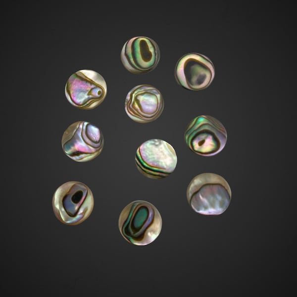 ABALONE Cabs | 9mm round  10 pieces  | abalone shell  flat back cabochons | disks NO.0017