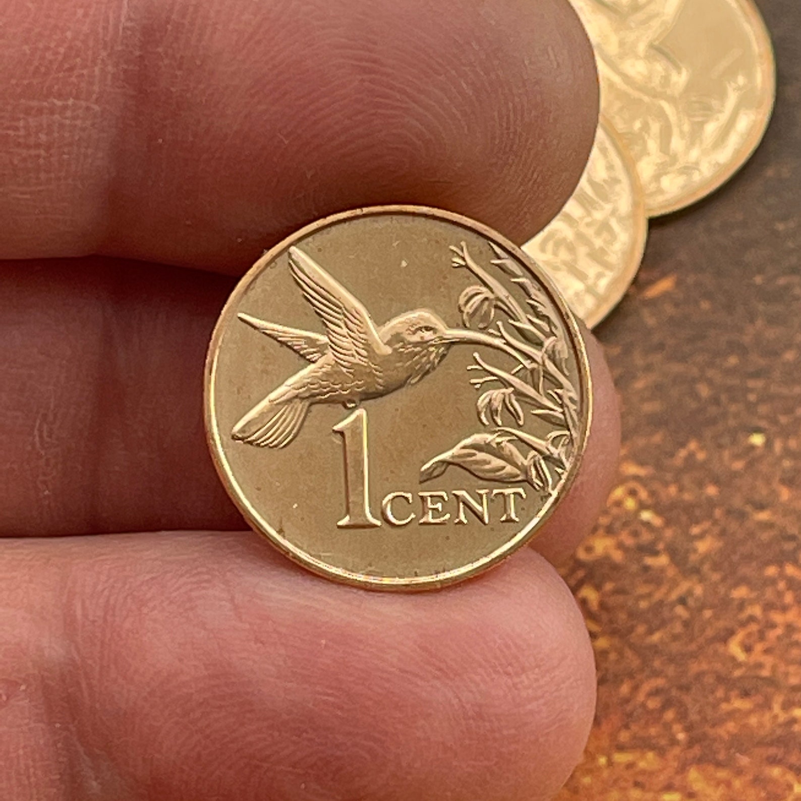 Coin Jewelry HUMMINGBIRD Coin Trinidad Coin NECKLACE Etsy