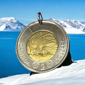 POLAR BEAR necklace.  CANADIAN coin necklace. Canadian toonie . arctic. coin jewelry. key ring. mens coin necklace No.001092