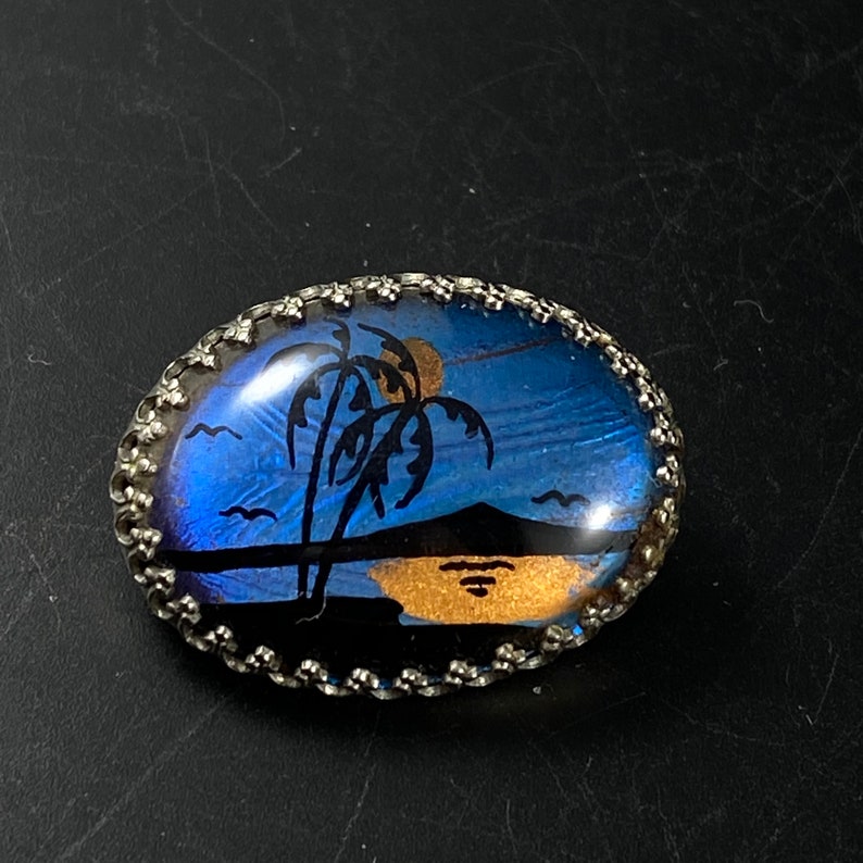 Morpho Butterfly Wing Brooch Palm Trees Sunset Jewelry Etsy