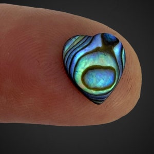 Cabujones de concha de abulón de 10 mm, parte trasera plana, cantidad 25, N.º 006