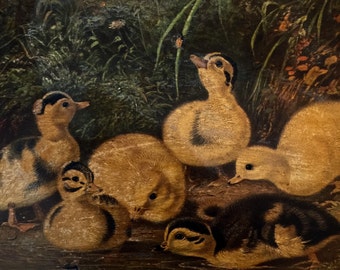 Prang Chromolithograph Print A F Tait . Mallard Ducklings No.001 cs