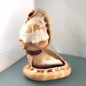 シェル　カメオ　貝殻彫刻　アンティーク　置物　4つ シェル カメオ 貝殻彫刻 アンティーク 置物 4つ