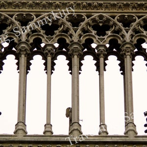 Notre-Dame Arches Photography: Gothic Architecture Print