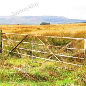 Scottish Countryside, Scotland Photography, Nature Photography, Landscape Photography, Photography Print, Scotland Print, Art Print