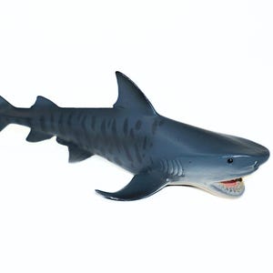 Tiger Shark Figurine: Realistic Ocean Animal Model Toy (6 inch)