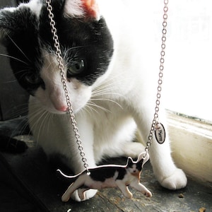 Custom pet portrait-inspired resin cat pendant on silver or brass chain, a heartfelt pet memorial necklace for cat/dog lovers.