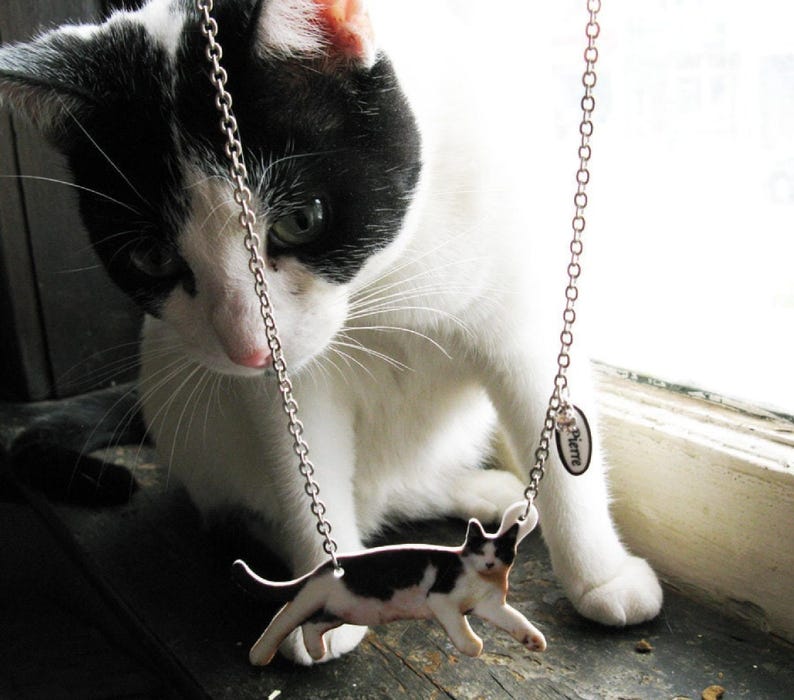 Custom pet portrait-inspired resin cat pendant on silver or brass chain, a heartfelt pet memorial necklace for cat/dog lovers.