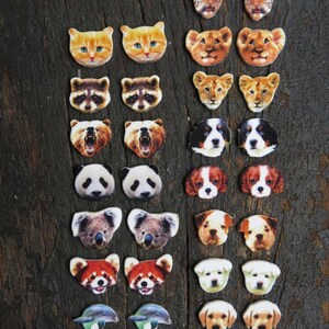 Australian wildlife koala bear stud post earrings, brown and white fuzzy fur with blue noses on wood.