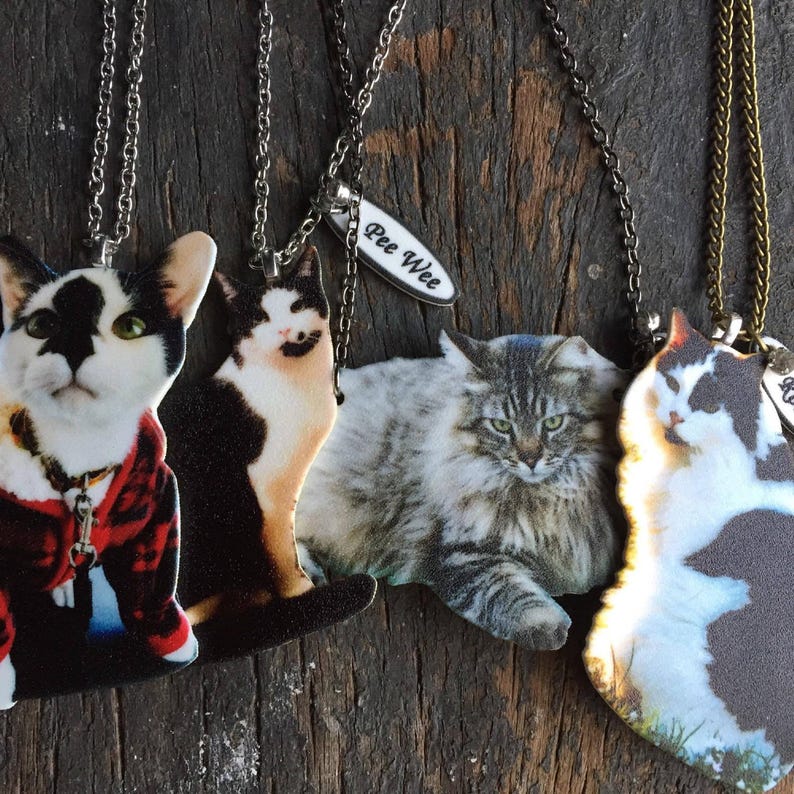 Custom pet portrait-inspired resin cat pendant on silver or brass chain, a heartfelt pet memorial necklace for cat/dog lovers.