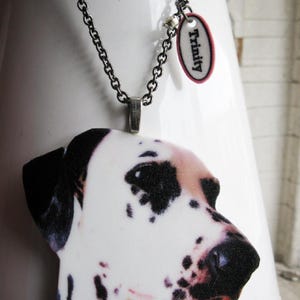 Custom pet portrait-inspired resin cat pendant on silver or brass chain, a heartfelt pet memorial necklace for cat/dog lovers.