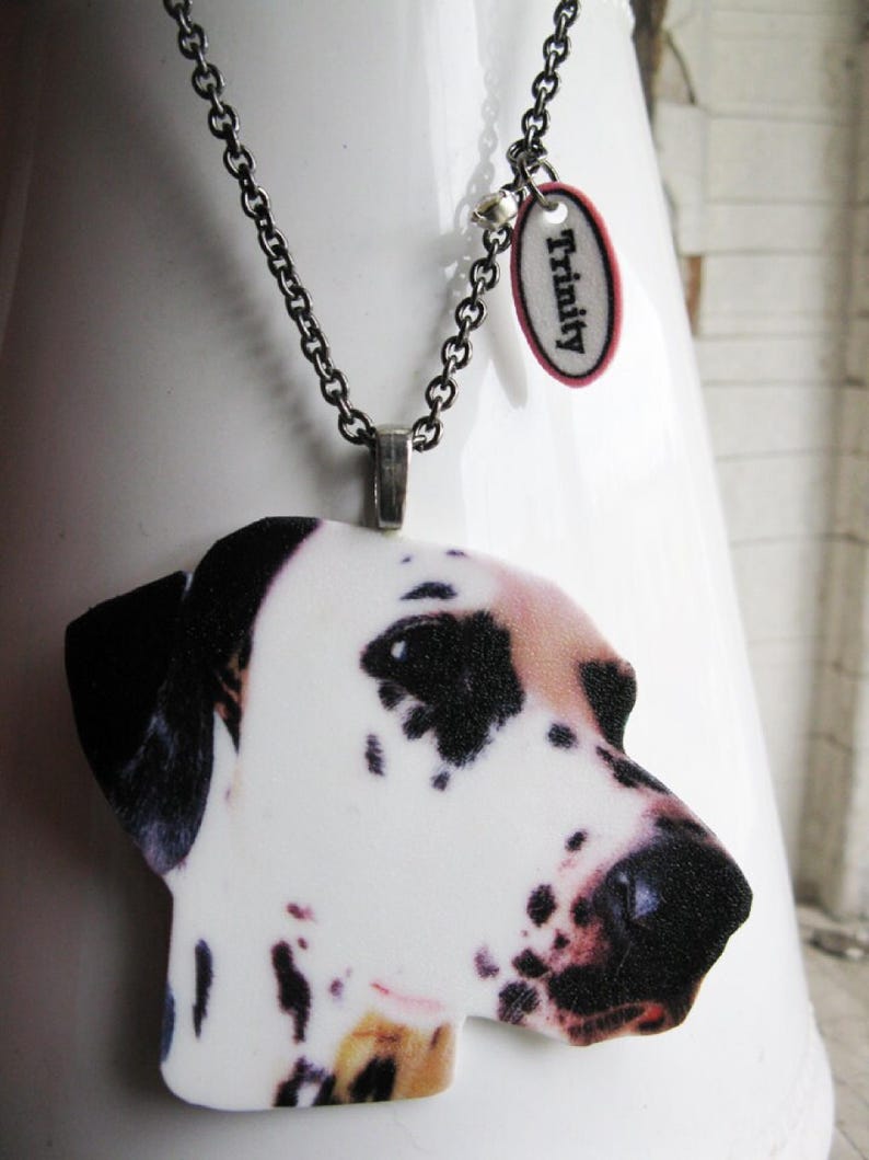 Custom pet portrait-inspired resin cat pendant on silver or brass chain, a heartfelt pet memorial necklace for cat/dog lovers.