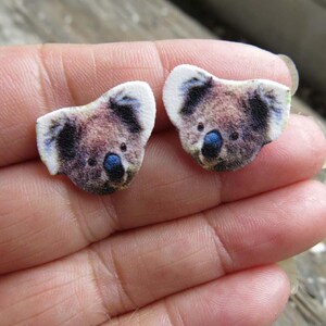 Australian wildlife koala bear stud post earrings, brown and white fuzzy fur with blue noses on wood.