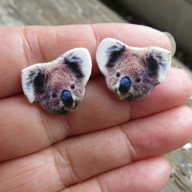 Australian wildlife koala bear stud post earrings, brown and white fuzzy fur with blue noses on wood.