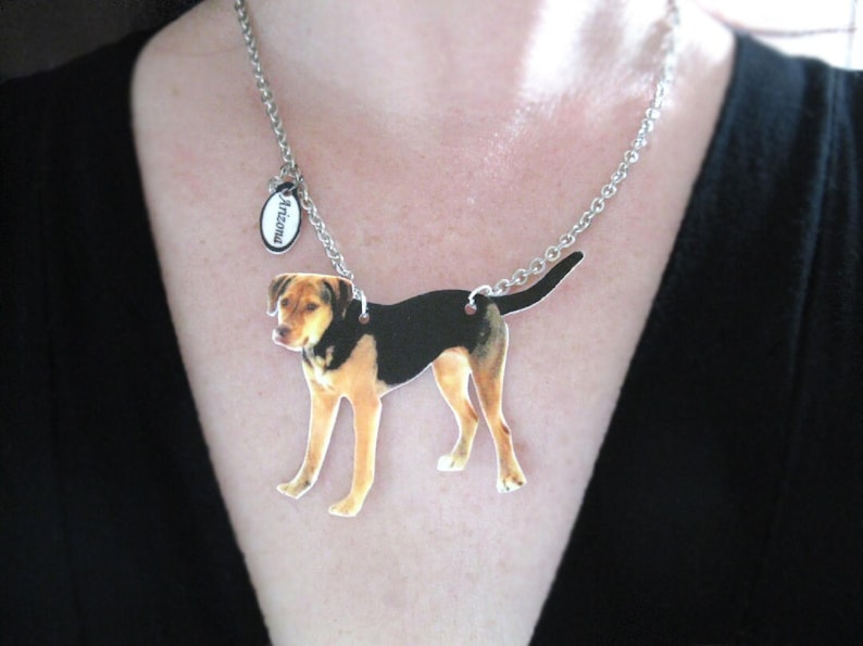 Custom pet portrait-inspired resin cat pendant on silver or brass chain, a heartfelt pet memorial necklace for cat/dog lovers.
