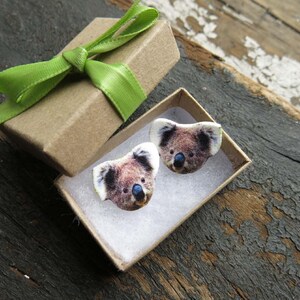 Australian wildlife koala bear stud post earrings, brown and white fuzzy fur with blue noses on wood.