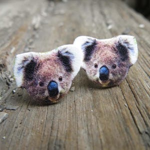 Australian wildlife koala bear stud post earrings, brown and white fuzzy fur with blue noses on wood.