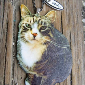 Custom pet portrait-inspired resin cat pendant on silver or brass chain, a heartfelt pet memorial necklace for cat/dog lovers.
