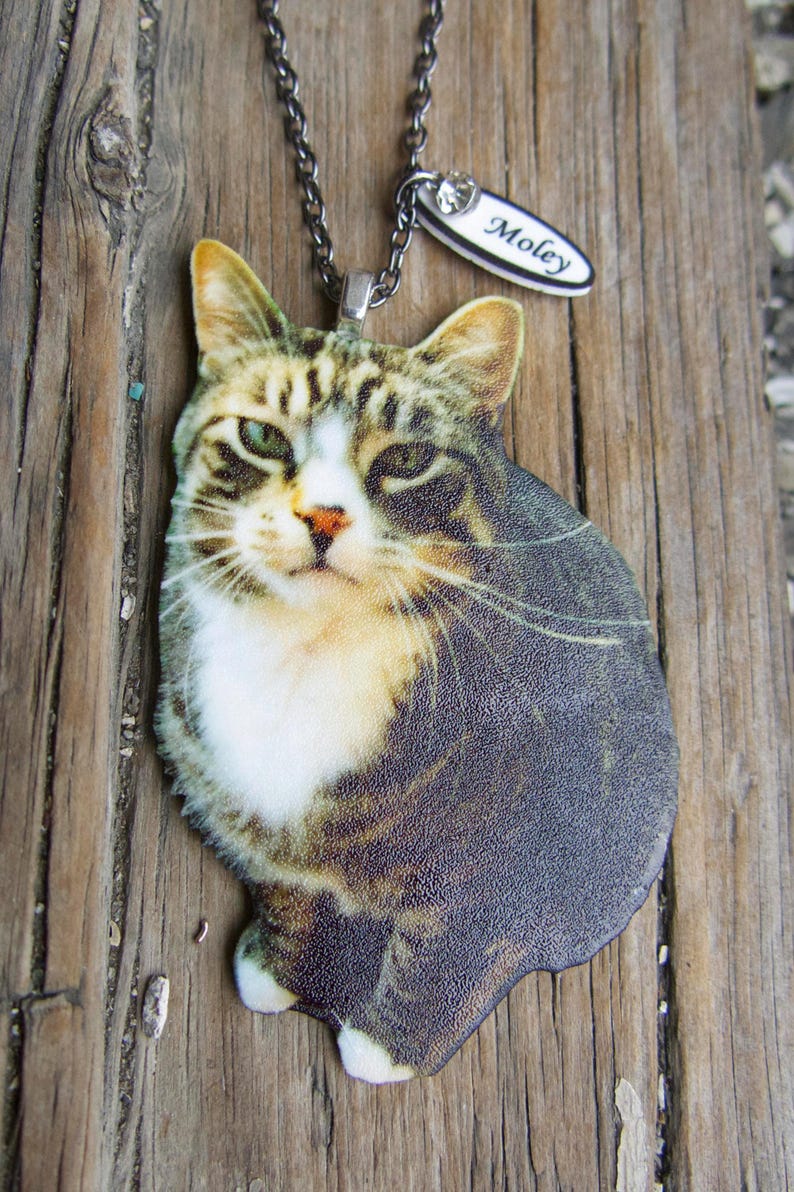 Custom pet portrait-inspired resin cat pendant on silver or brass chain, a heartfelt pet memorial necklace for cat/dog lovers.