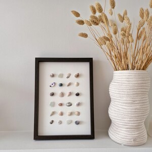May include: A framed collection of seashells and sea glass in a dark wood frame. The shells are various sizes, shapes, and colors, including white, tan, and iridescent. A white vase with dried wheat stalks sits to the right.